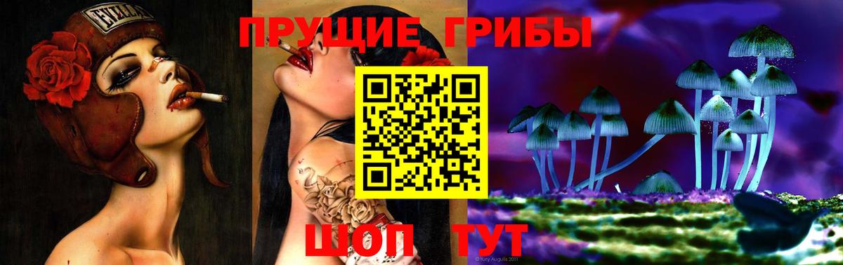 Псилоцибиновые грибы Psilocybine cubensis Южно-Сахалинск